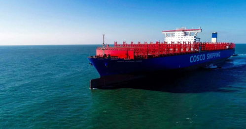 出口货值近4亿 两艘6.1万吨散货船从辽宁大连交付出口